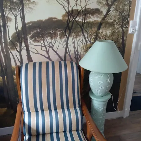 Les Fleurs Du Parc Classe 3 Etoiles شقة