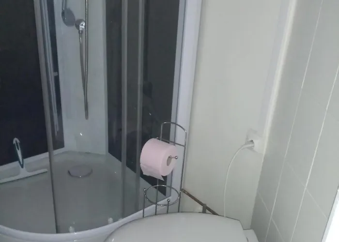 Appartement Les Fleurs Du Parc Classe 3 Etoiles *