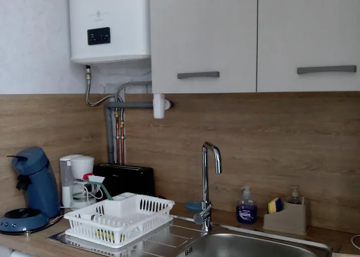 Appartement Les Fleurs Du Parc Classe 3 Etoiles *