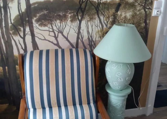 Les Fleurs Du Parc Classe 3 Etoiles Appartement